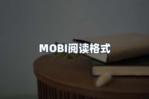 MOBI阅读格式
